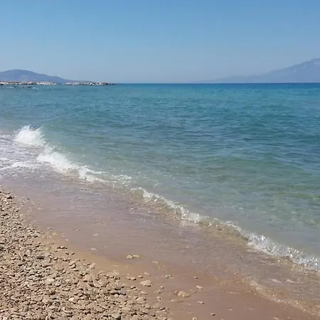 Shoreline Drive House By 